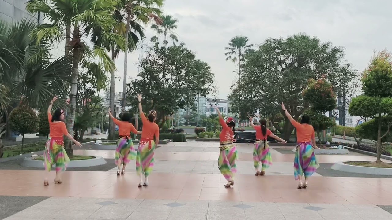 Pick A Snow Lotus 摘一朵雪莲 Zhai Yi Duo Xue Lian Line Dance/Michelle & Friends