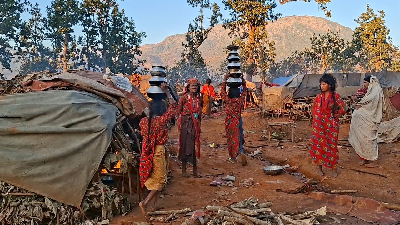 Beast Western Himayalan Lifestyle Hardworking Raaute Comunity Live In Karnali Surkhet.Peaceful Video
