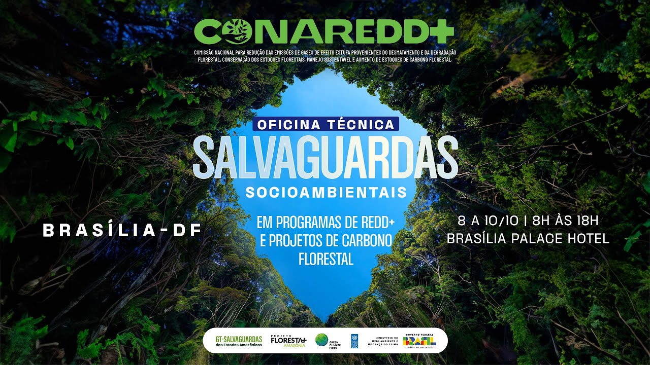 Salvaguardas Socioambientais em Programas Redd+ e Projetos de Carbono Florestal - 2º dia