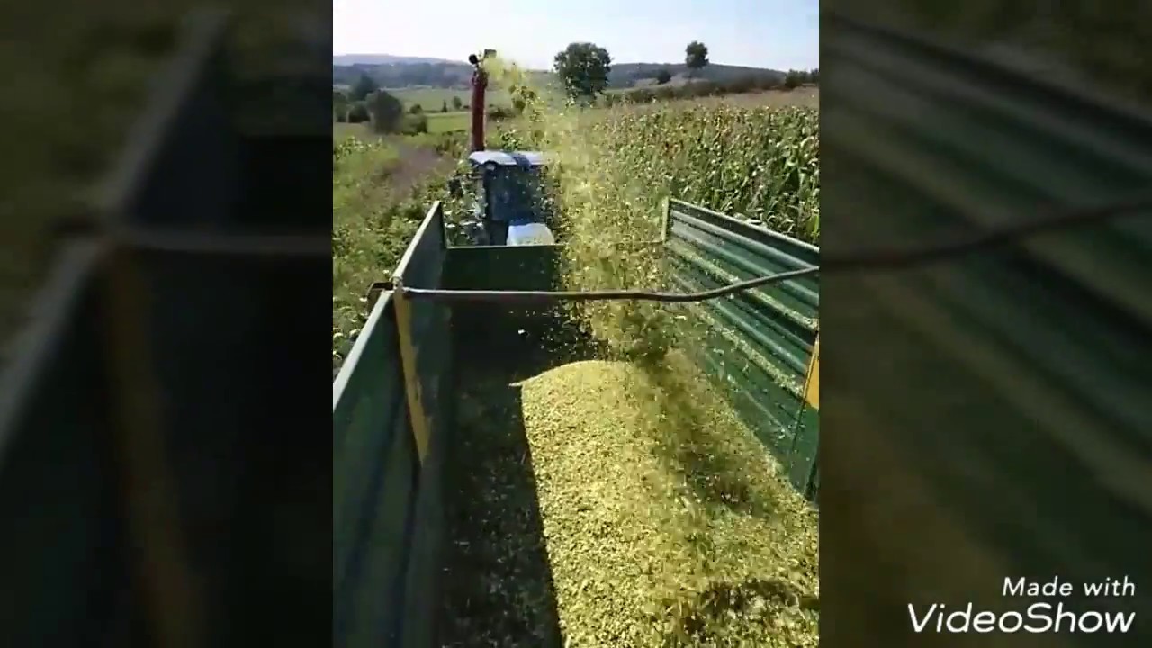 Mısır & Soya Fasulyesi & Reygras Silajı Yapımı