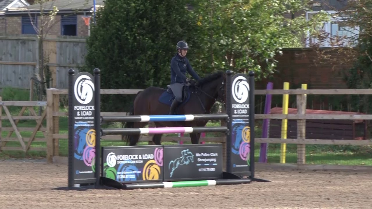 British Showjumping Training - Stepping up to Newcomers Part 2 Introducing lateral work