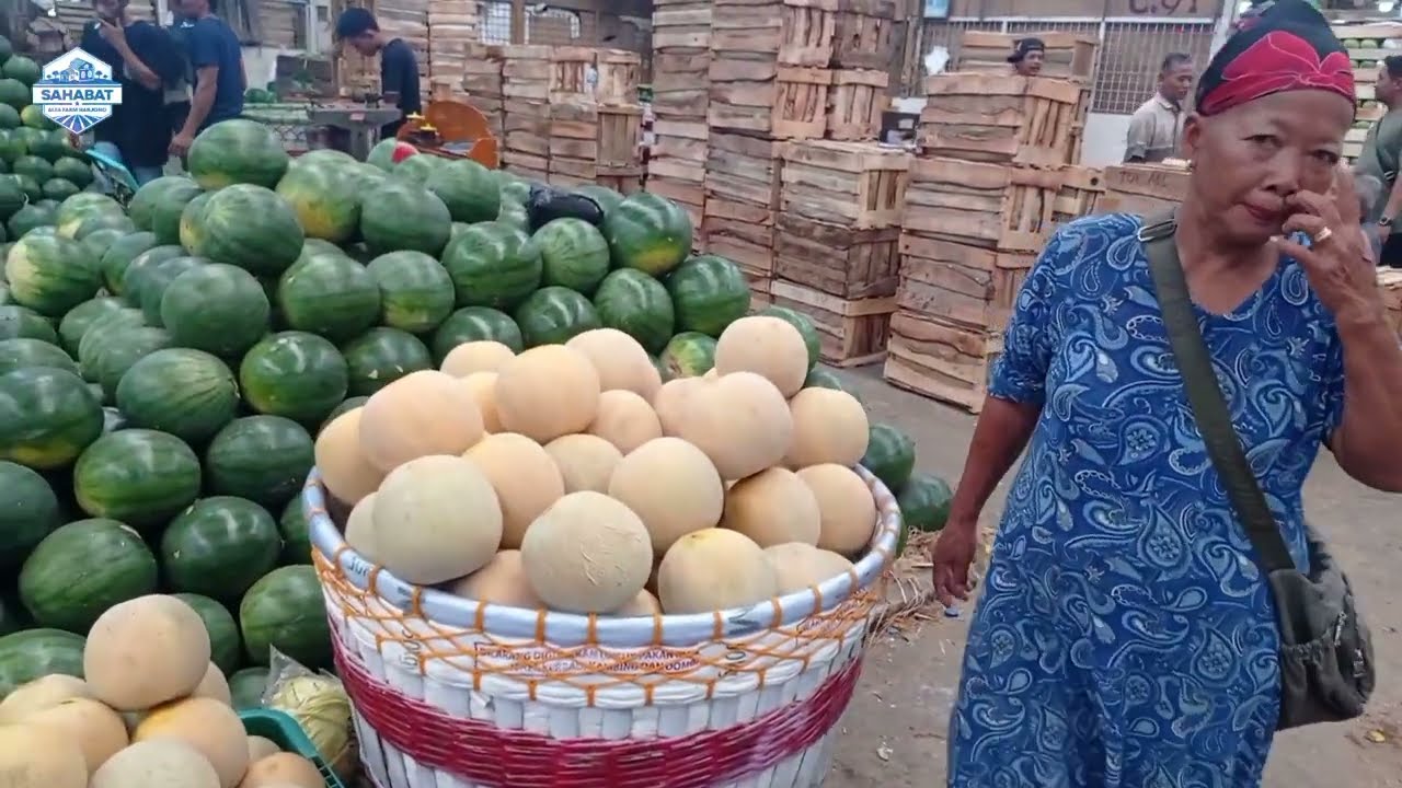 Rp. 5.000/Kg❓MELON SKY ROKET, DI PASAR INDUK KRAMAT JATI, AKHIR SEPT 2023