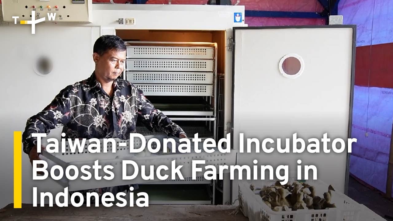 Taiwan-Donated Incubator Boosts Duck Farming in Indonesia | TaiwanPlus News
