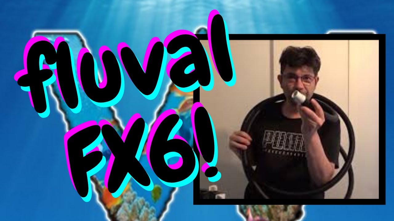 Tuto filtre Fluval fx6