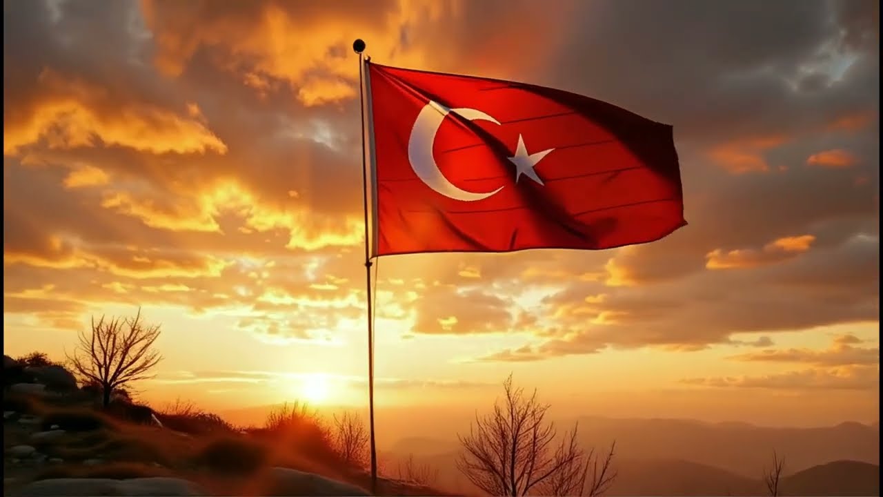 Kurtur, Kurtla Yürünür, (Türkçe - English - 한국인)