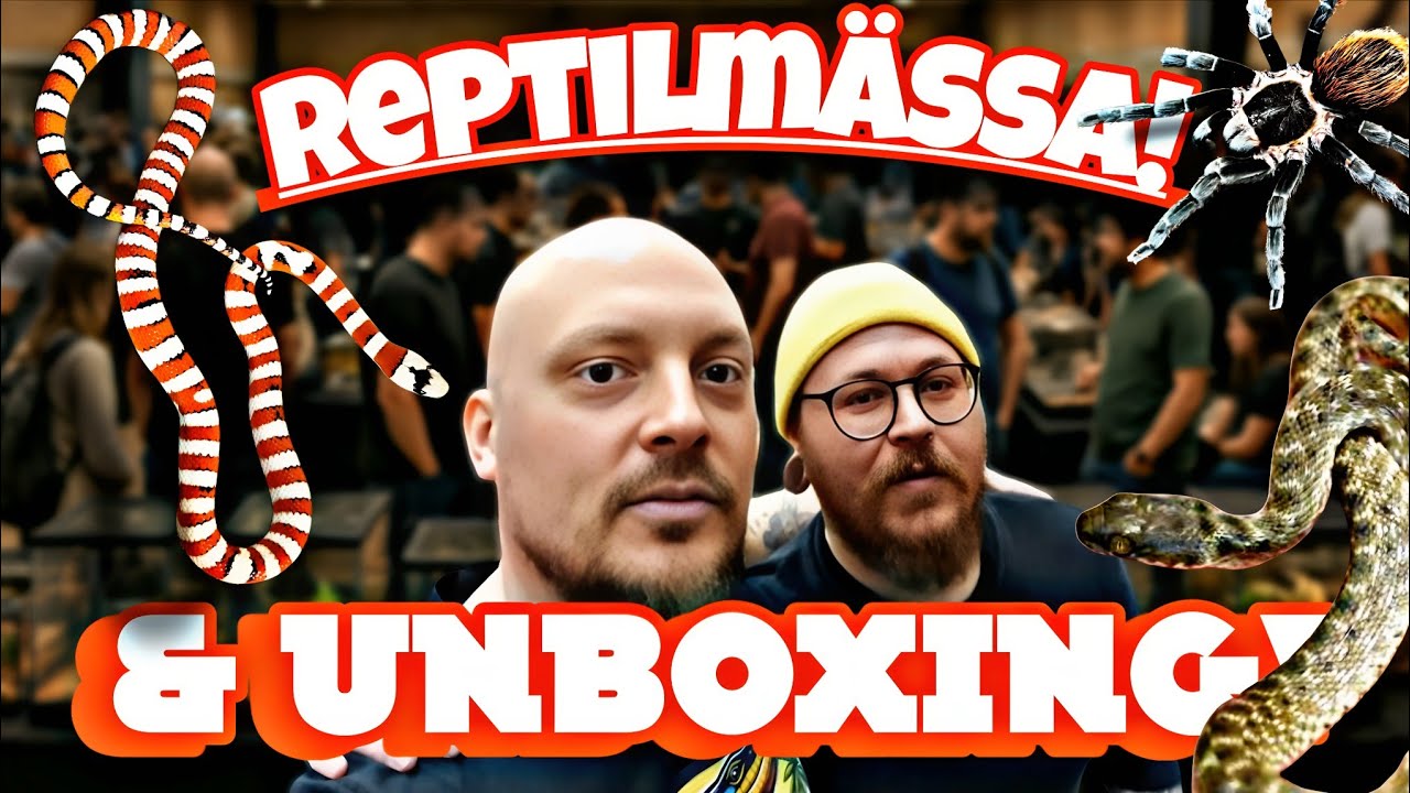 Reptilmässa & Unboxing! NYA djur till samlingen 🐍🦎🕷 | WESTBAY REPTILES SVERIGE