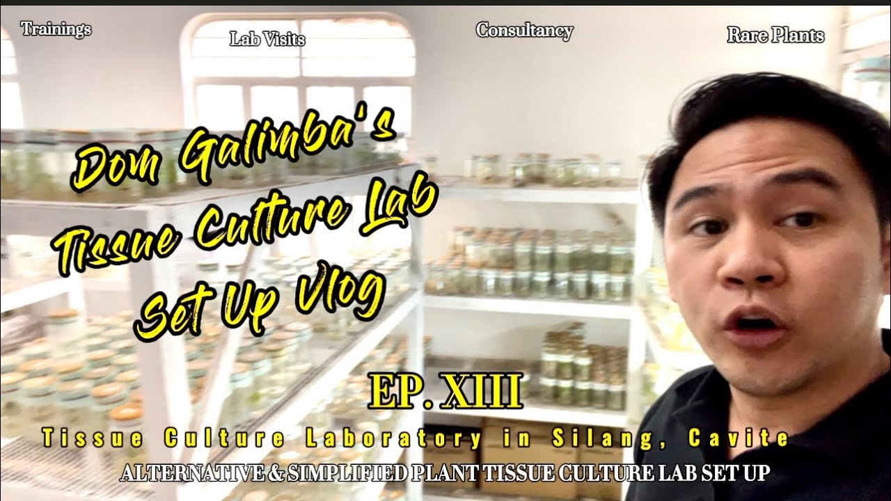 Plant Tissue Culture Laboratory in Cavite, Philippines