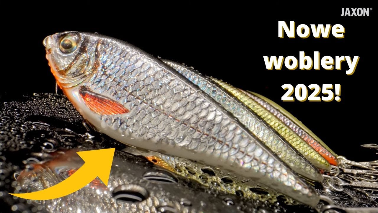 Woblery JAXON 2025, kt&oacute;re gwarantują sukces!