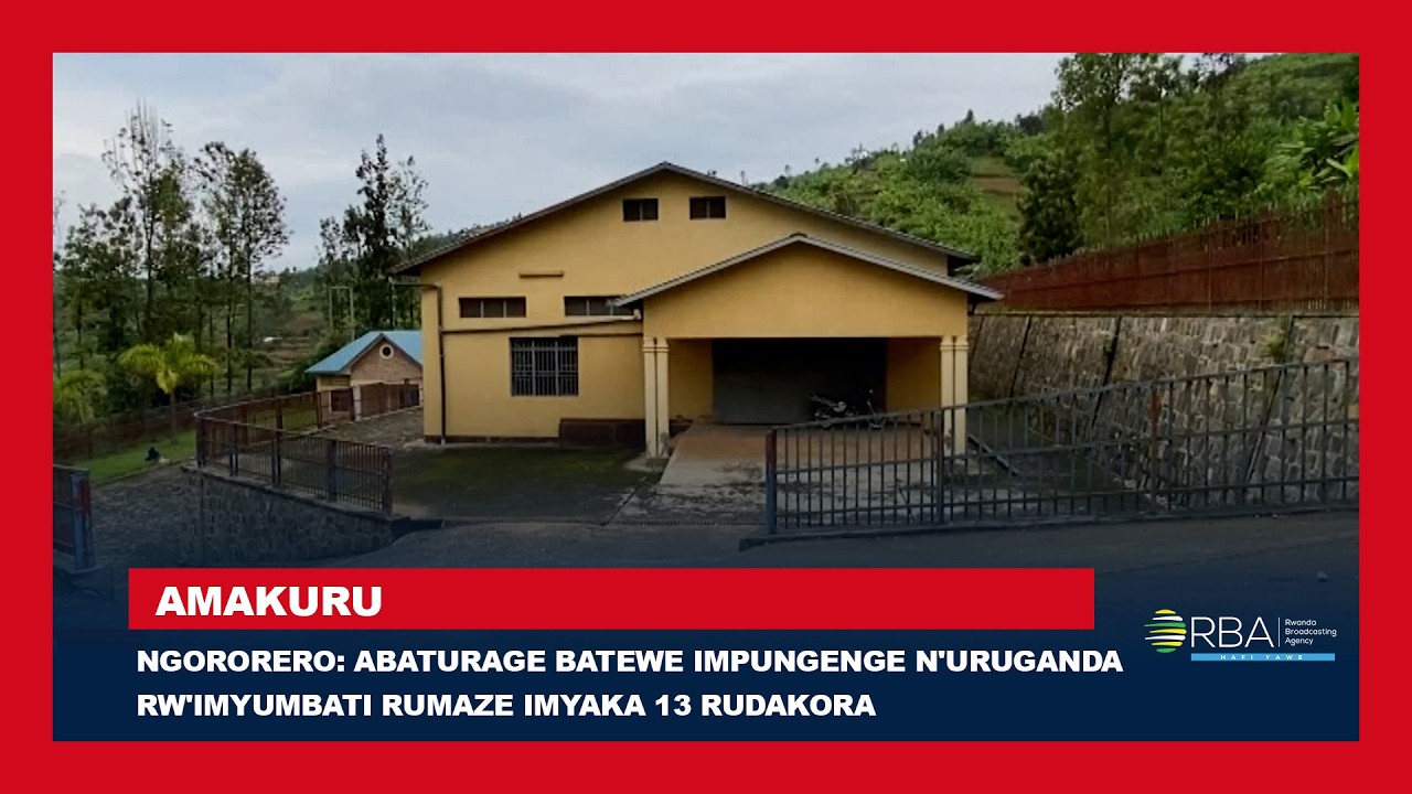 Ngororero: Abaturage batewe impungenge n'uruganda rw'imyumbati rumaze imyaka 13 rudakora