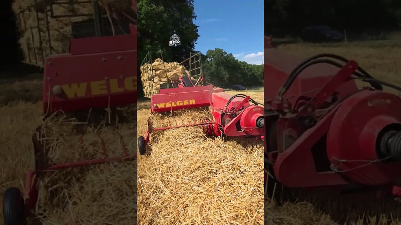 Favorit Haudegen mit Welger beim Stroh pressen!🚜🤩