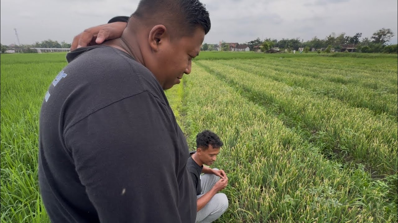 JAN MUMET NGRASAKNE TANDURANKU BRAMBANG