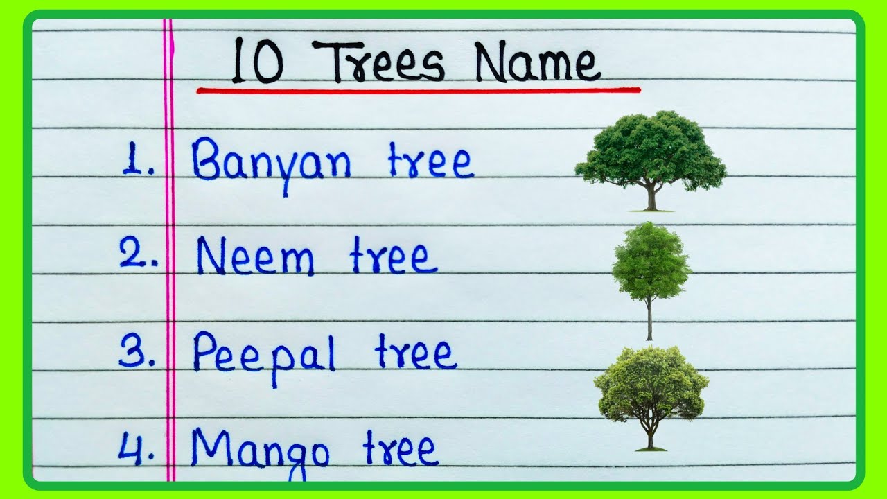 10 Trees Name in English | Tree Name | Tree Names | Different types of Trees Name
