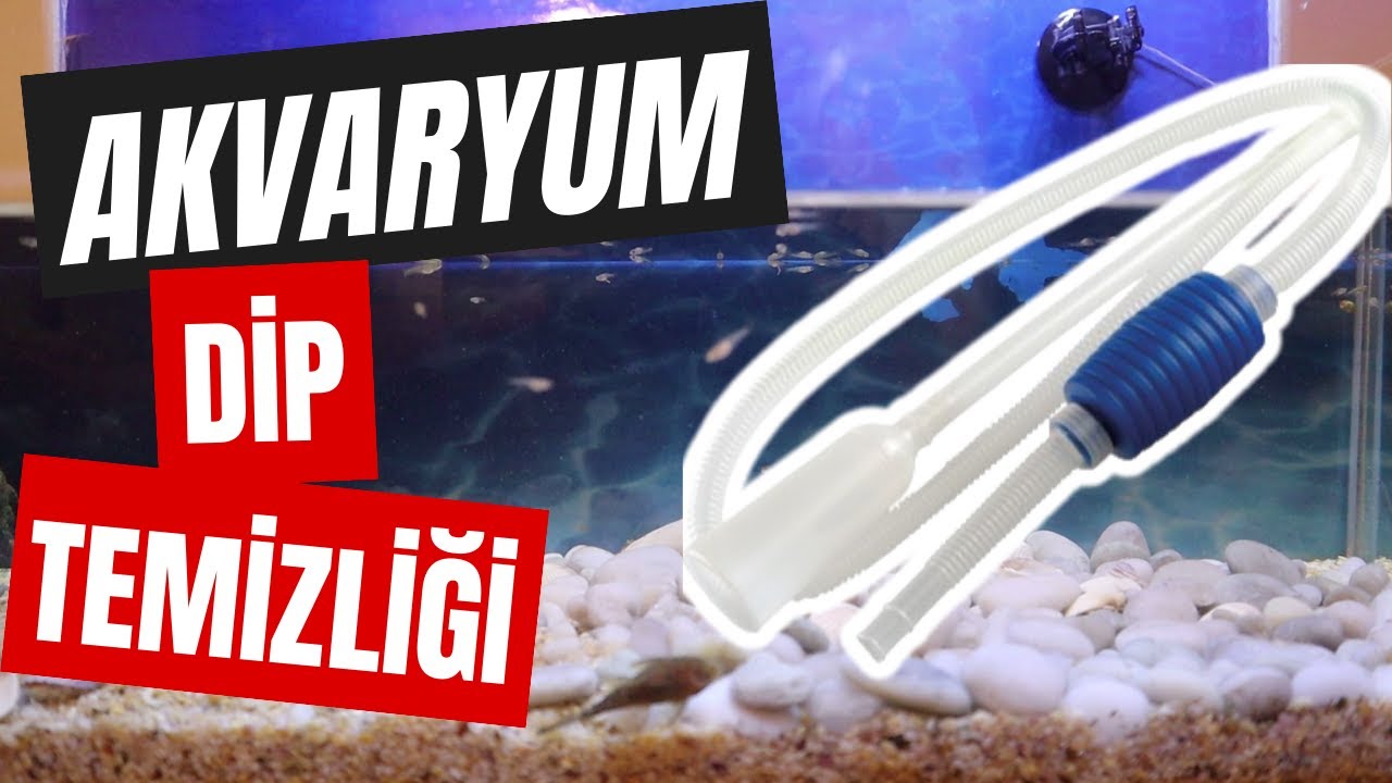 Pompalı Dip Temizleme Hortumu Nasıl Kullanılır? | Akvaryum Dip Çekimi Nasıl Yapılır?