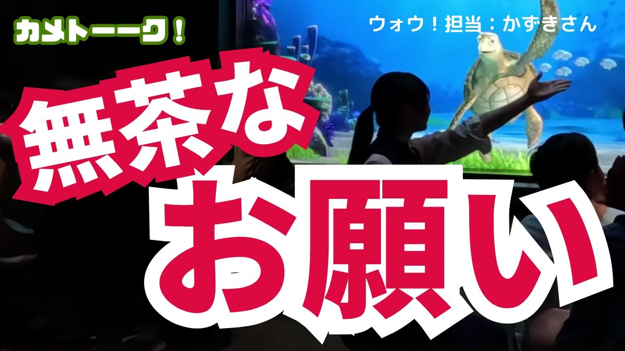 魚全員が見たい～無茶いうなよw／カメはどこで生きてるんですか？【東京ディズニーシー・タートルトーク】