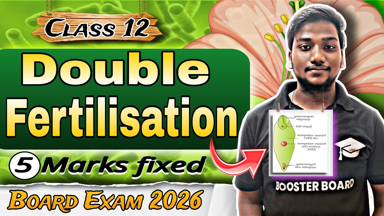 Double Fertilisation in Plants | class 12 Biology | Board Exam Important Topic 