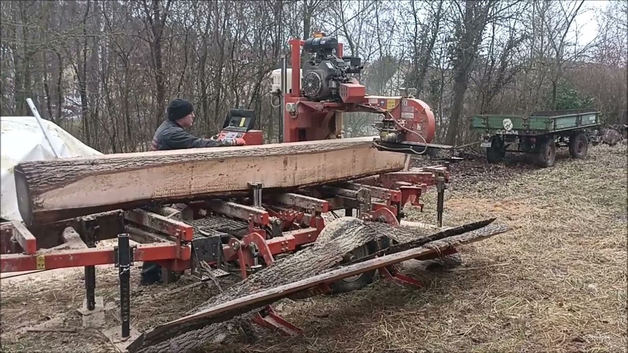 Woodmizer LT 40, das auftrennen einer Esche