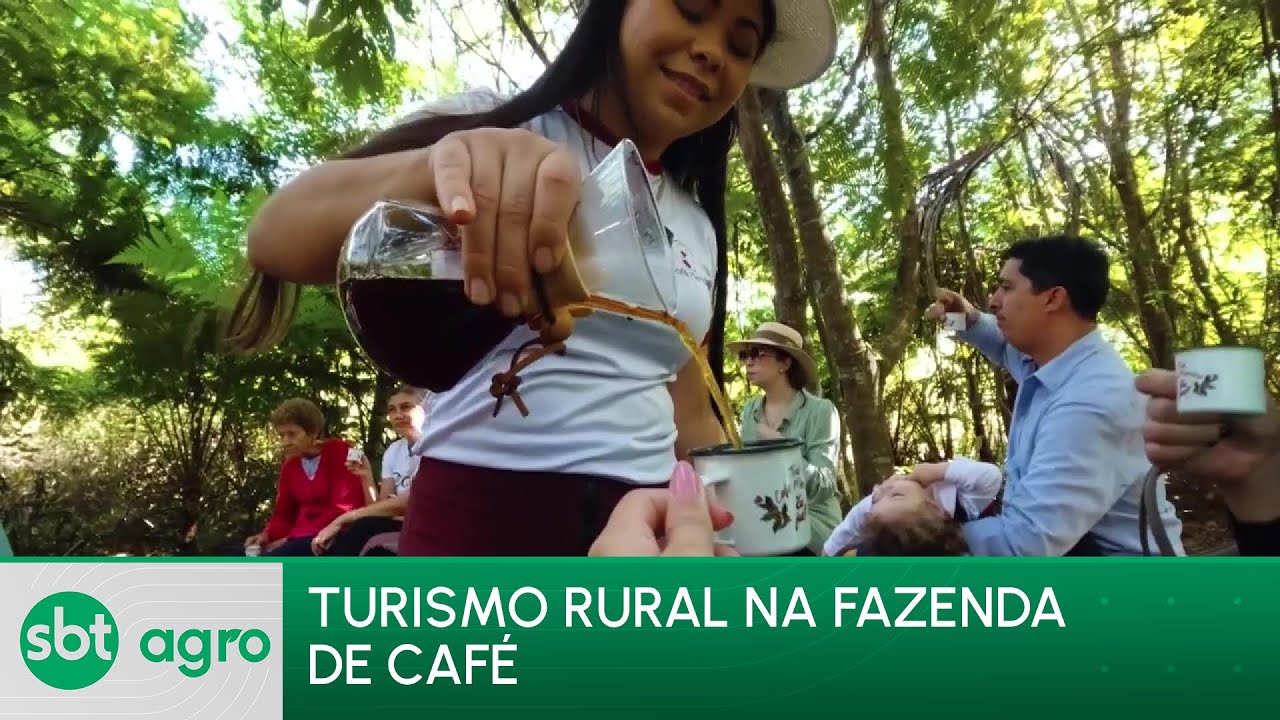SBT Agro 10/06/24: Cafés especiais atraem turistas no cerrado mineiro