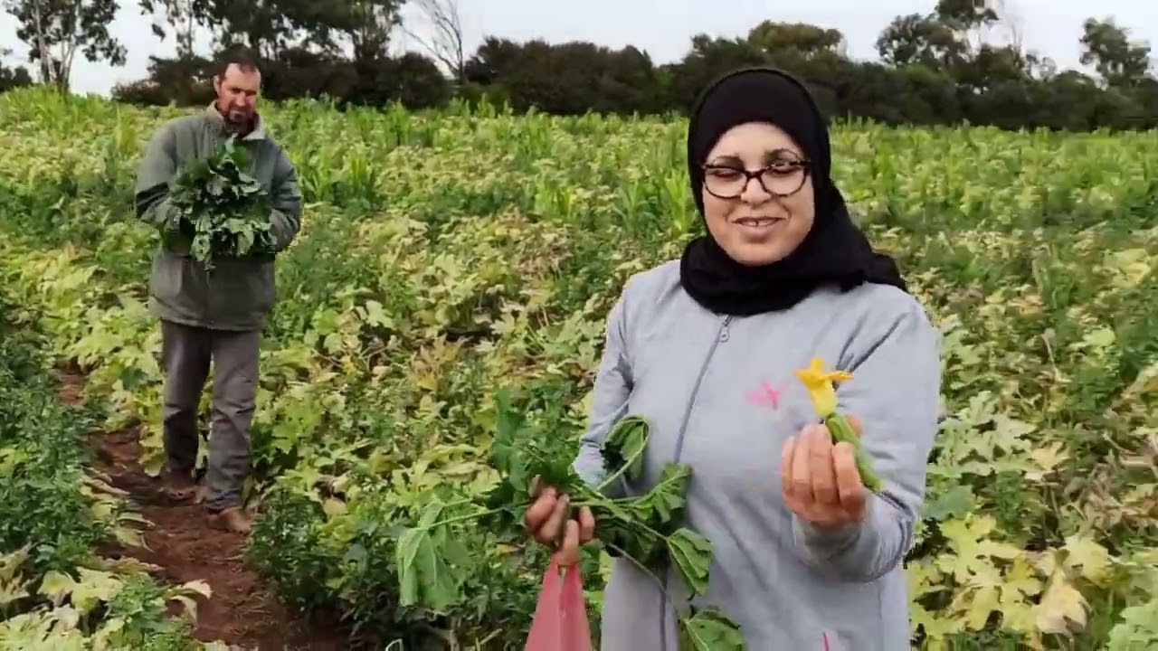 أجيو معانا تشوفو جنيت القرعة الخضرا انا وخويا وجمعنا الخبيزة 🥬🥬 فجو رائع