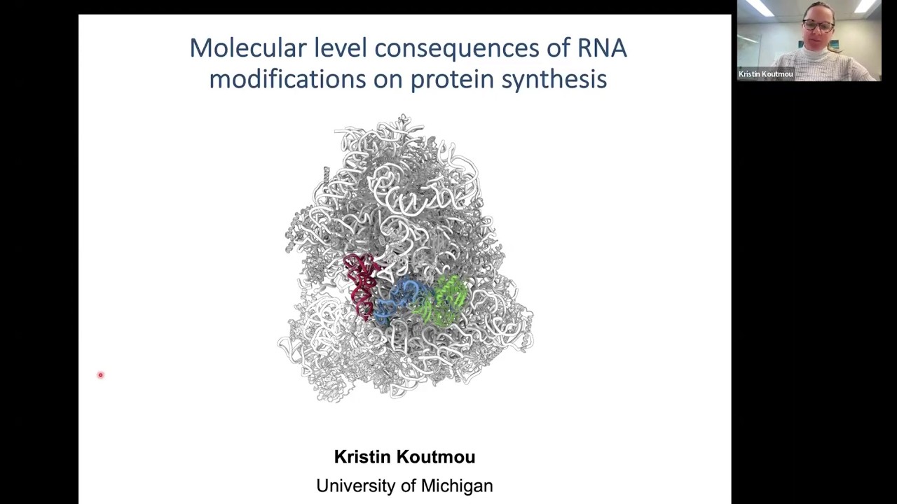 The Molecular Level Consequences of RNA Modifications on Protein Synthesis
