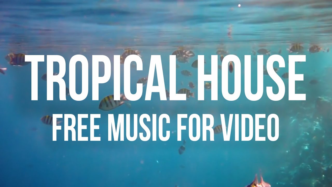 Tropical House No Copyright Music | Upbeat No Copyright Music