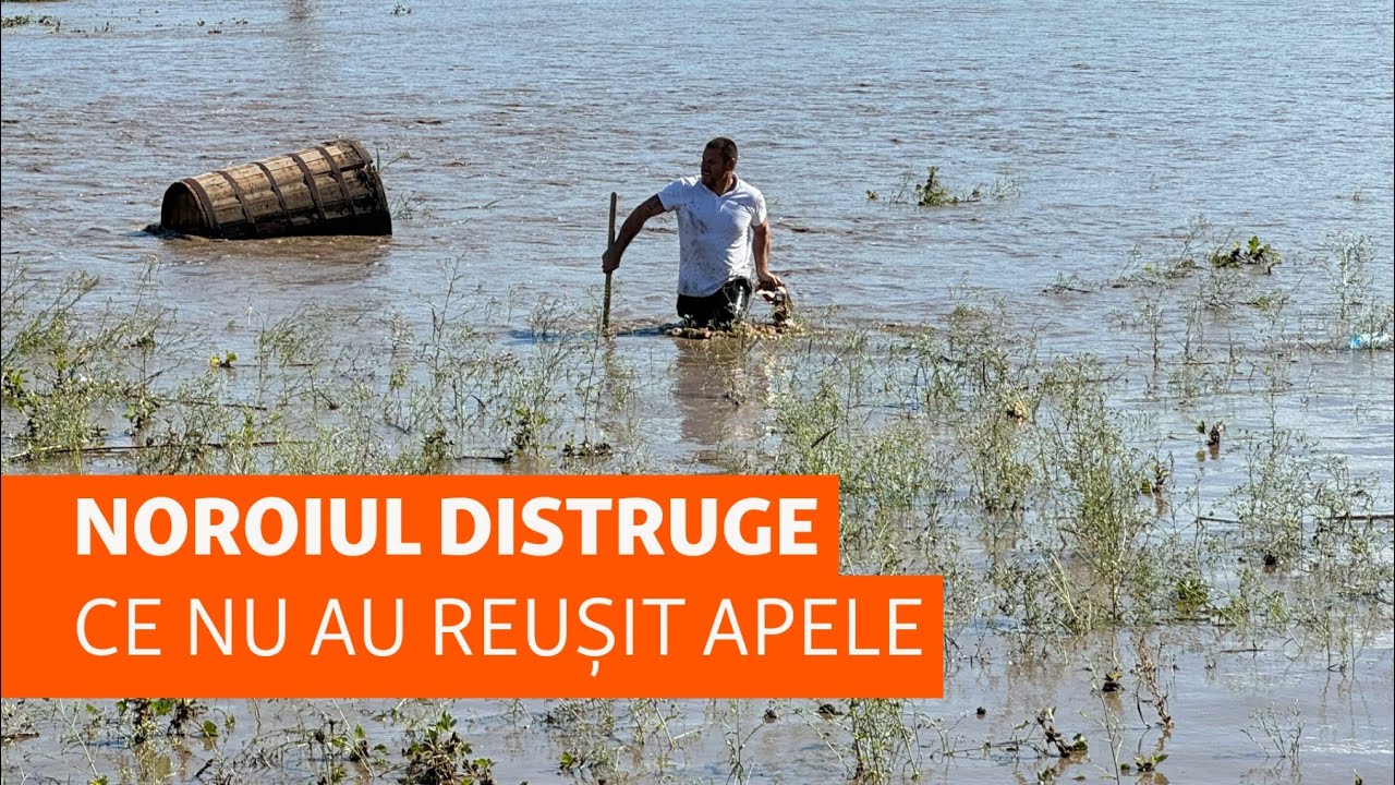 Noroiul distruge ce nu au reușit apele: 20.000 de sinistrați se luptă să salveze ceva după inundații
