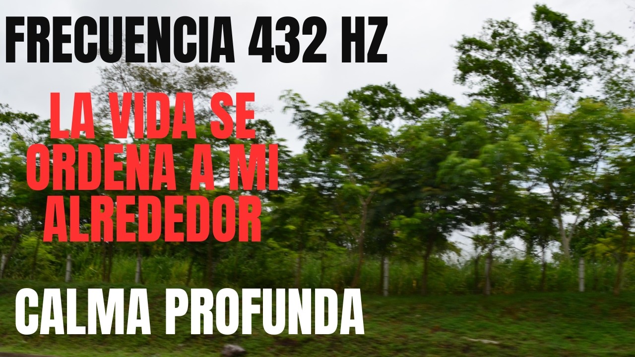 VIDA se ORDENA a mi ALREDEDOR / FRECUENCIA 432 HZ para RELAJAR la MENTE y entrar en CALMA PROFUNDA