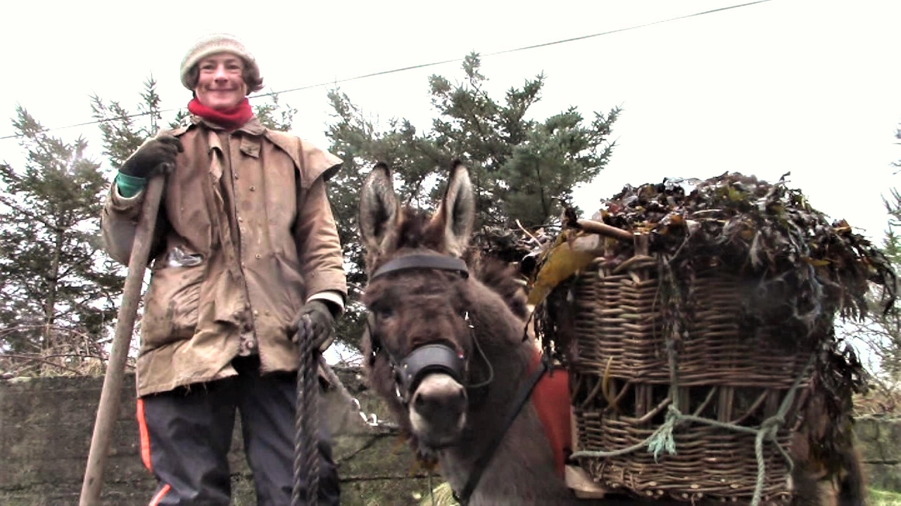 Using The Homemade Donkey Panniers (Wicker Baskets).