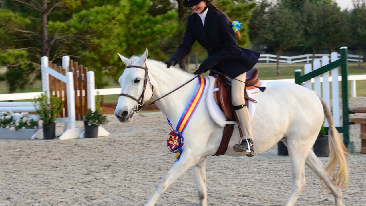 GHHJA Horse Show Vlog!!! Pony Medal Final & $1,000 Hunter Derby!! GSWEC