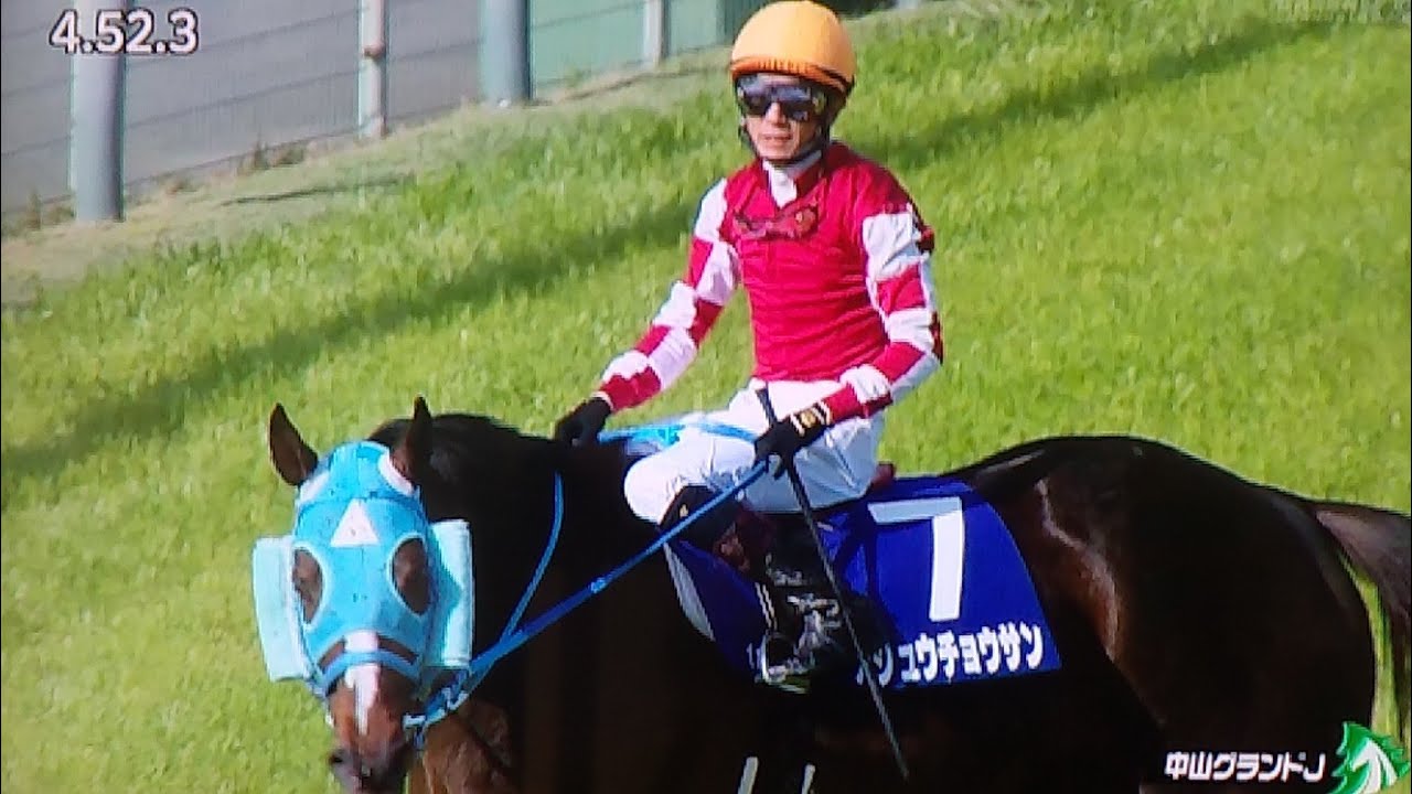 中山11レース中山グランドジャンプ(J・GⅠ)オジュウチョウサン