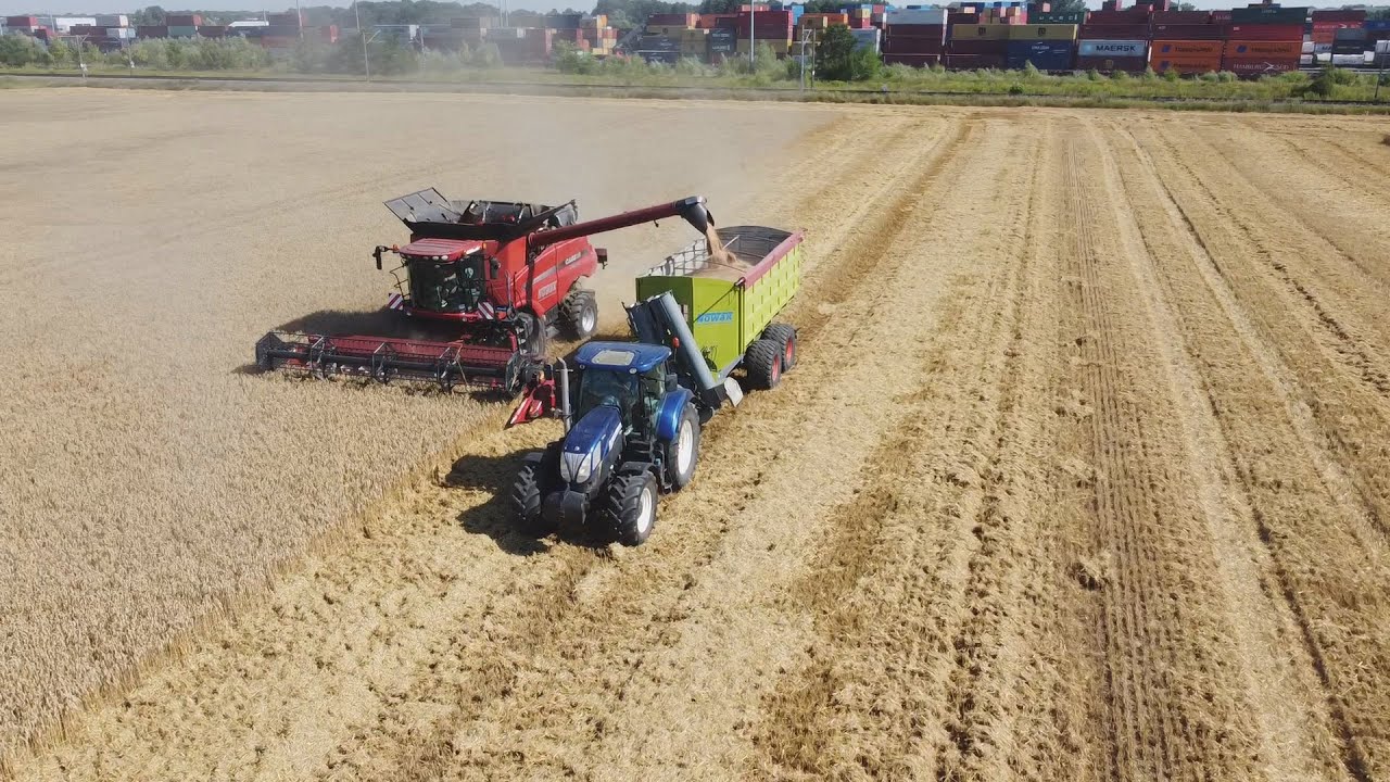 Żniwa w Top Farms Jagrol 2022 Firma Nowak |3xCase & 3xNew Holland|