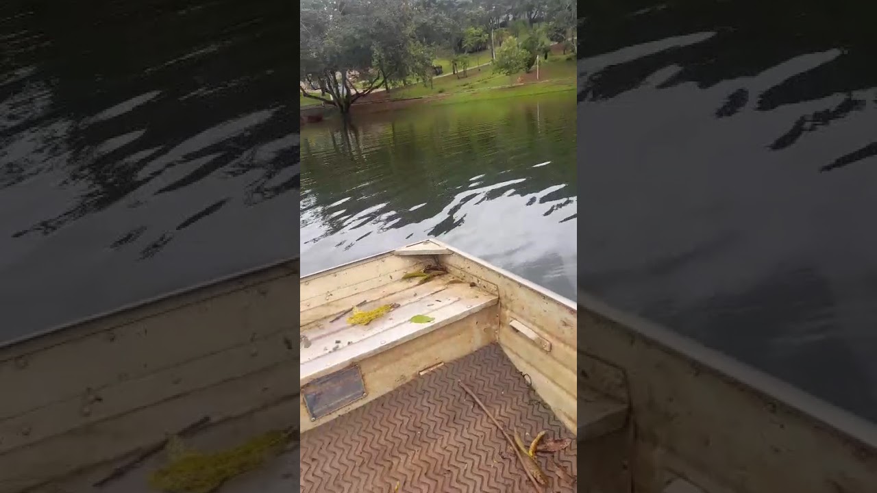 Pai curtindo o trabalho 🤭🚣‍♂️