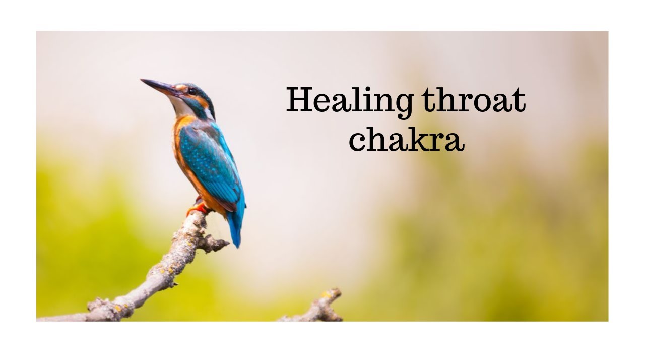 Why throat chakra (Vishuddha chakra) needs healing around narcissists