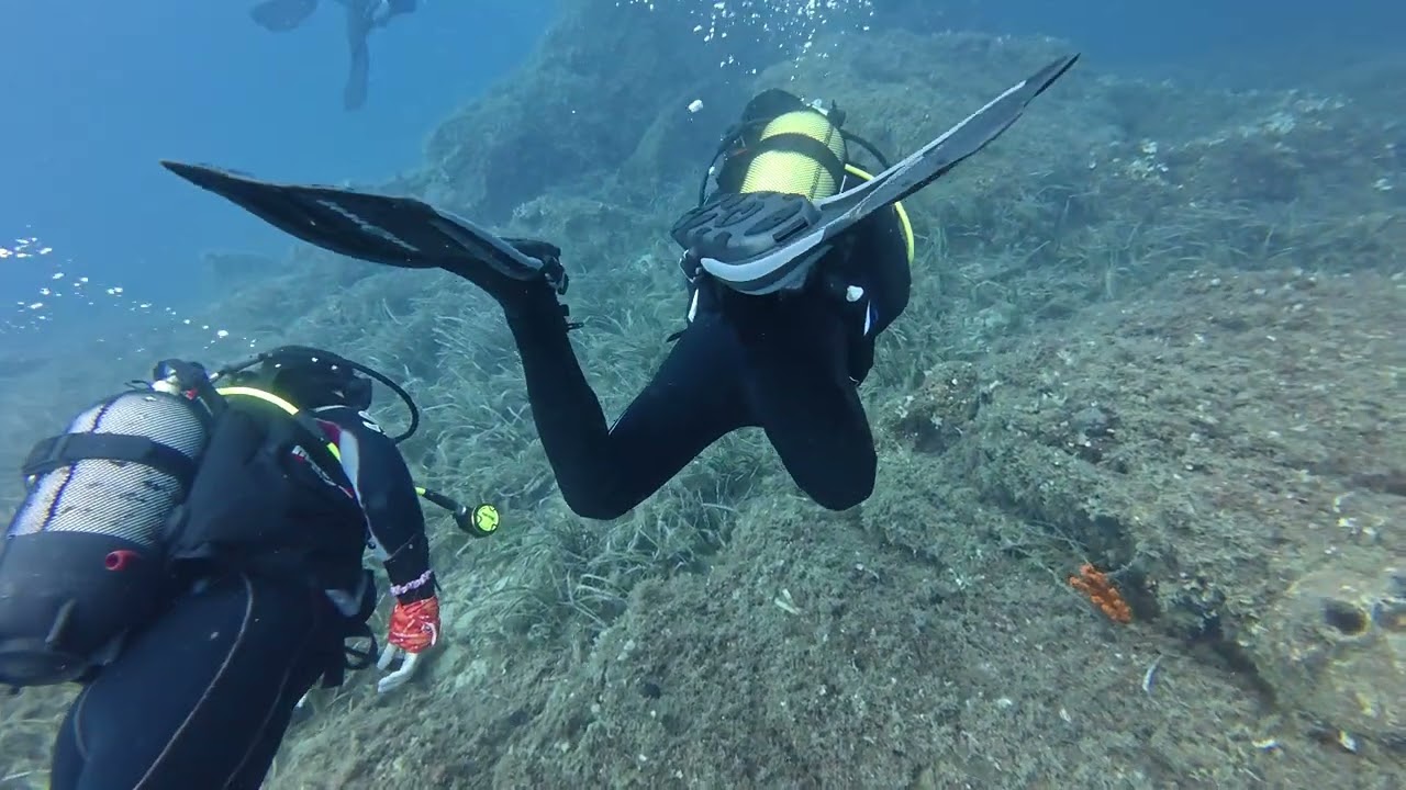 Ayvalık 20250928 2nd Dive
