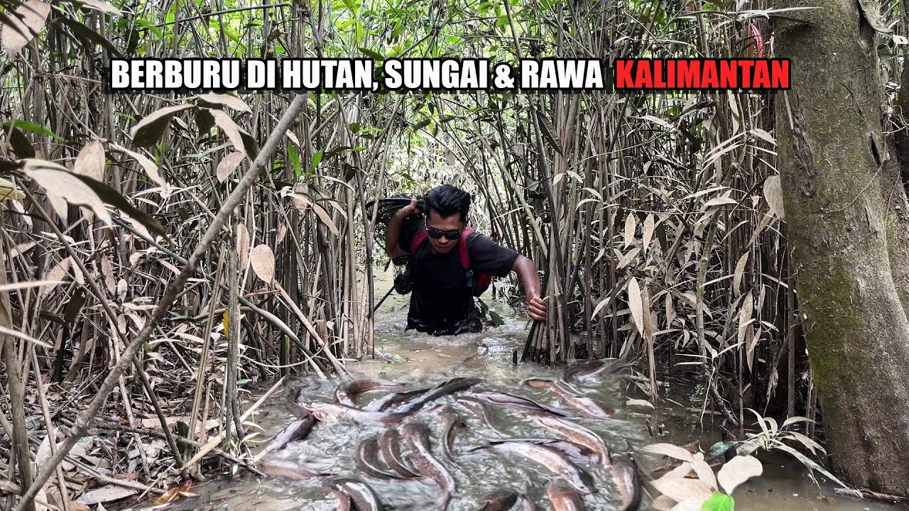 4 HARI BERBURU CARI IKAN & MAKANAN DI HUTAN, SUNGAI & RAWA HASILNYA LANGSUNG DIMASK😅 #bocahpecicilan