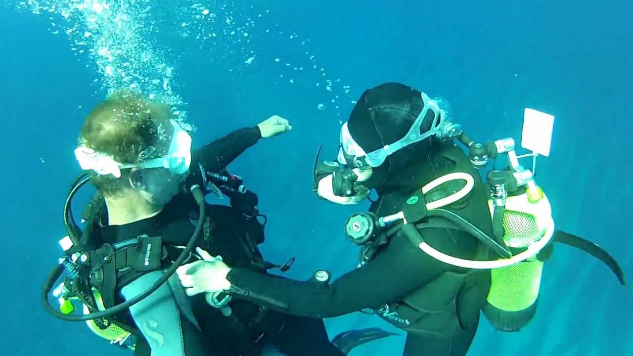 Techniques d'assistance à L'EXCELSUS