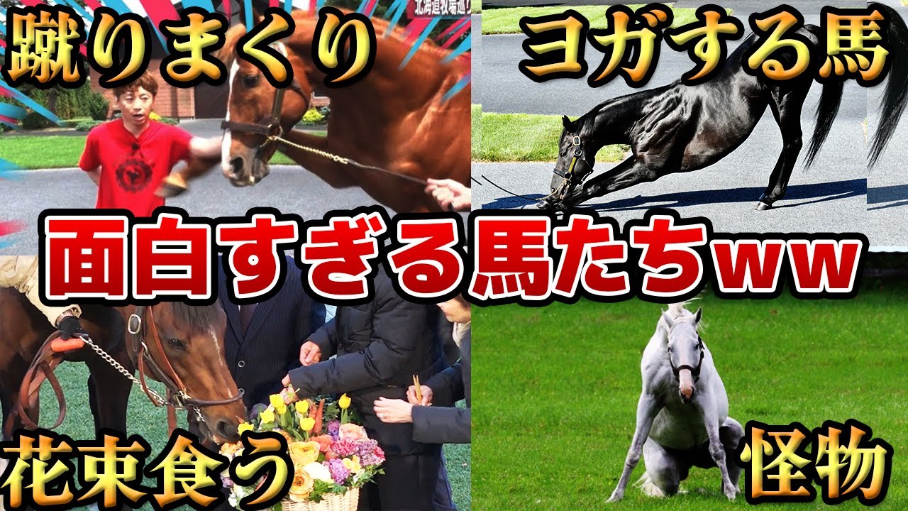 面白すぎる名馬たちの雑学エピソード【10選】