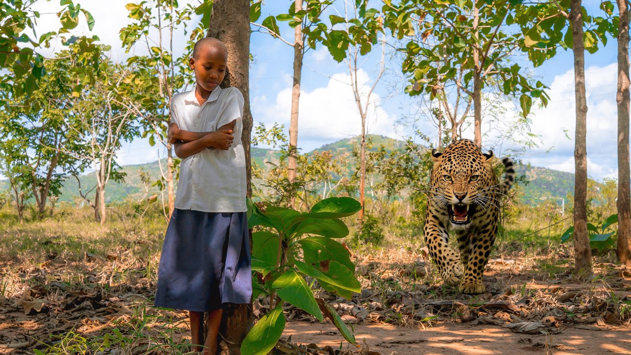 Tiger Attack Girl in Forest | Tiger Attack in Jungle | Tiger Attack Stories