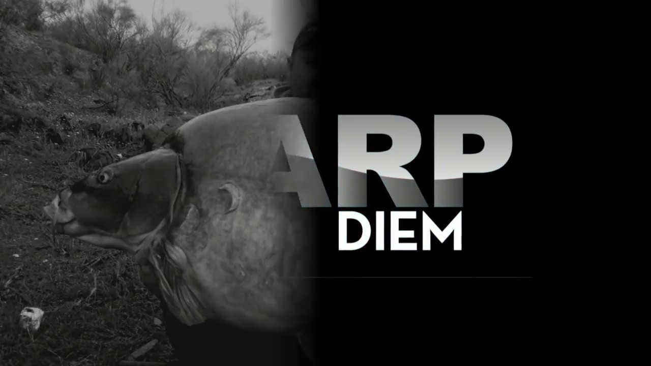 The Biggest CARP in Spain - Where do they live? The Top Lakes in Spain
