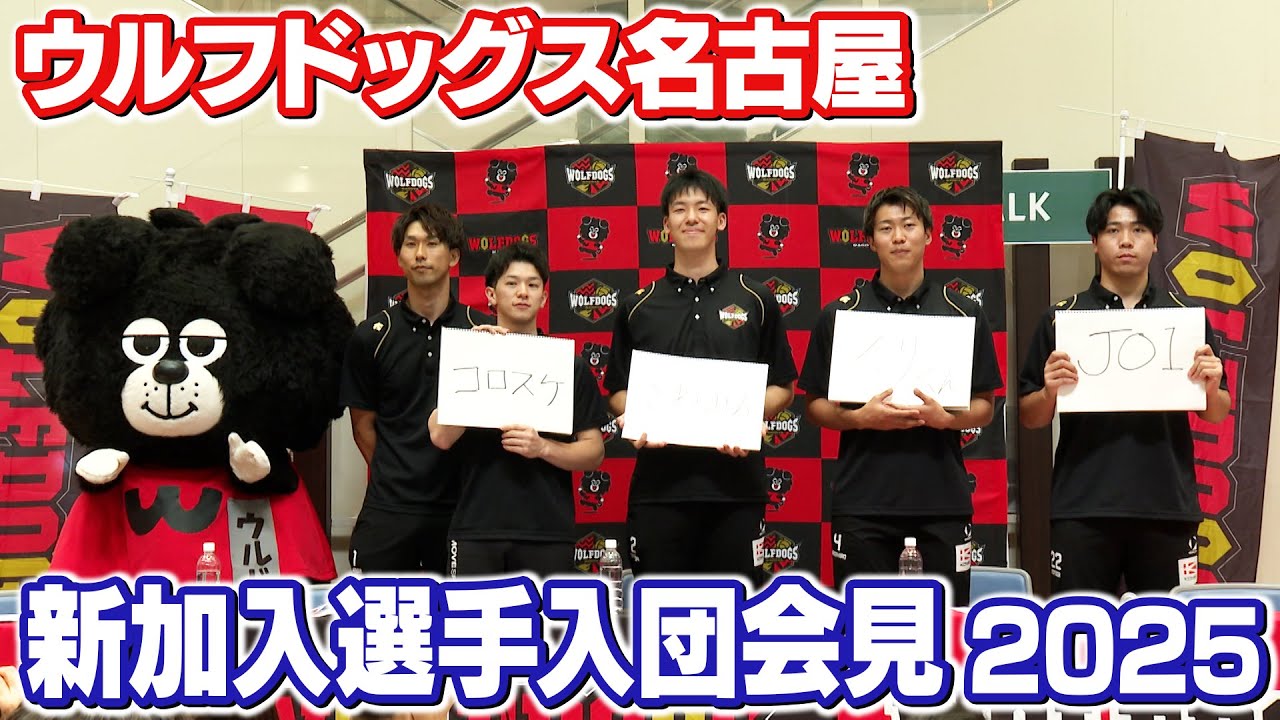 #ウルフドッグス名古屋 新加入選手入団会見2025 in リーフウォーク稲沢