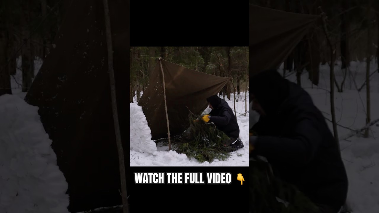 #shorts Winter Solo Survival Camping in Snow | Old Army Tarp Shelter in Frozen Forest,Bushcraft Food