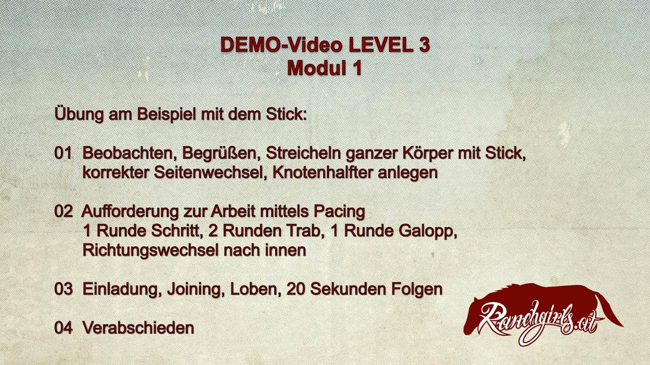 Demo L3 – Fortschritte im Roundpen