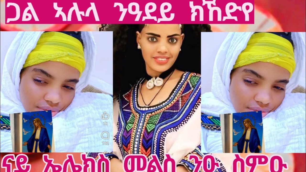 #ጓል#ኣሉላ#ዓደይ#ክኸድየ#ናይ#ኣሌክስ#መልስ#ንዑ#ጉድ#ስምዑ🤔😱