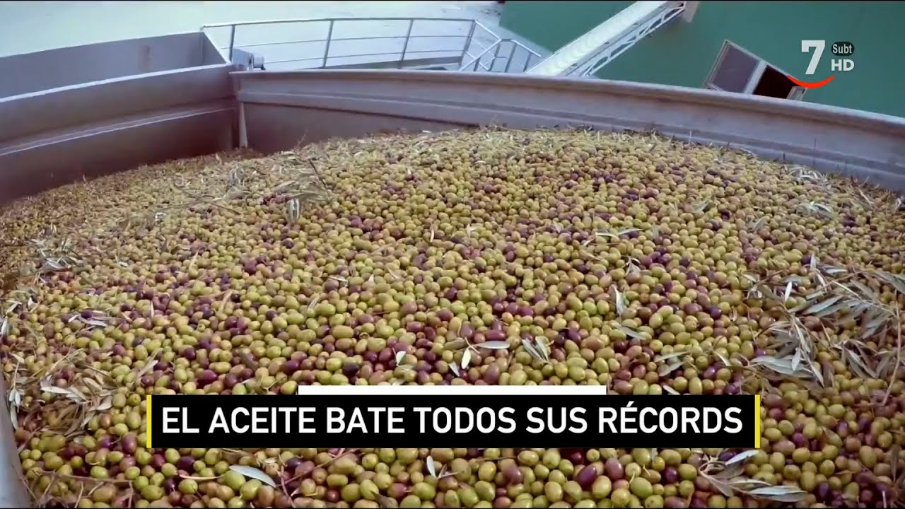 El campo al día (25/05/2023): El aceite de oliva sigue batiendo récord de precios