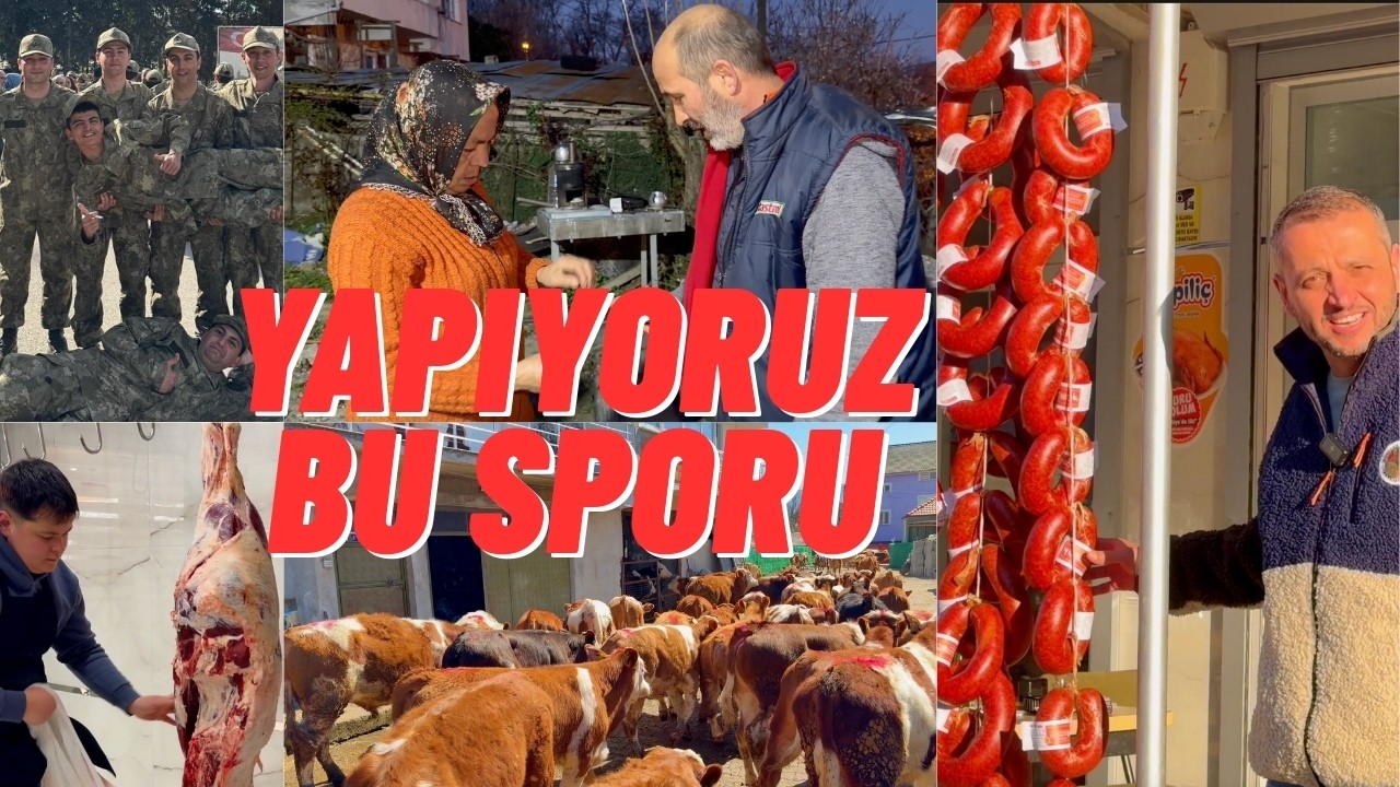 ASKERİMİZ GELDİ DANALAR YENİ SAHİBİNE TOPLANDI PATRONUN İŞLERİ