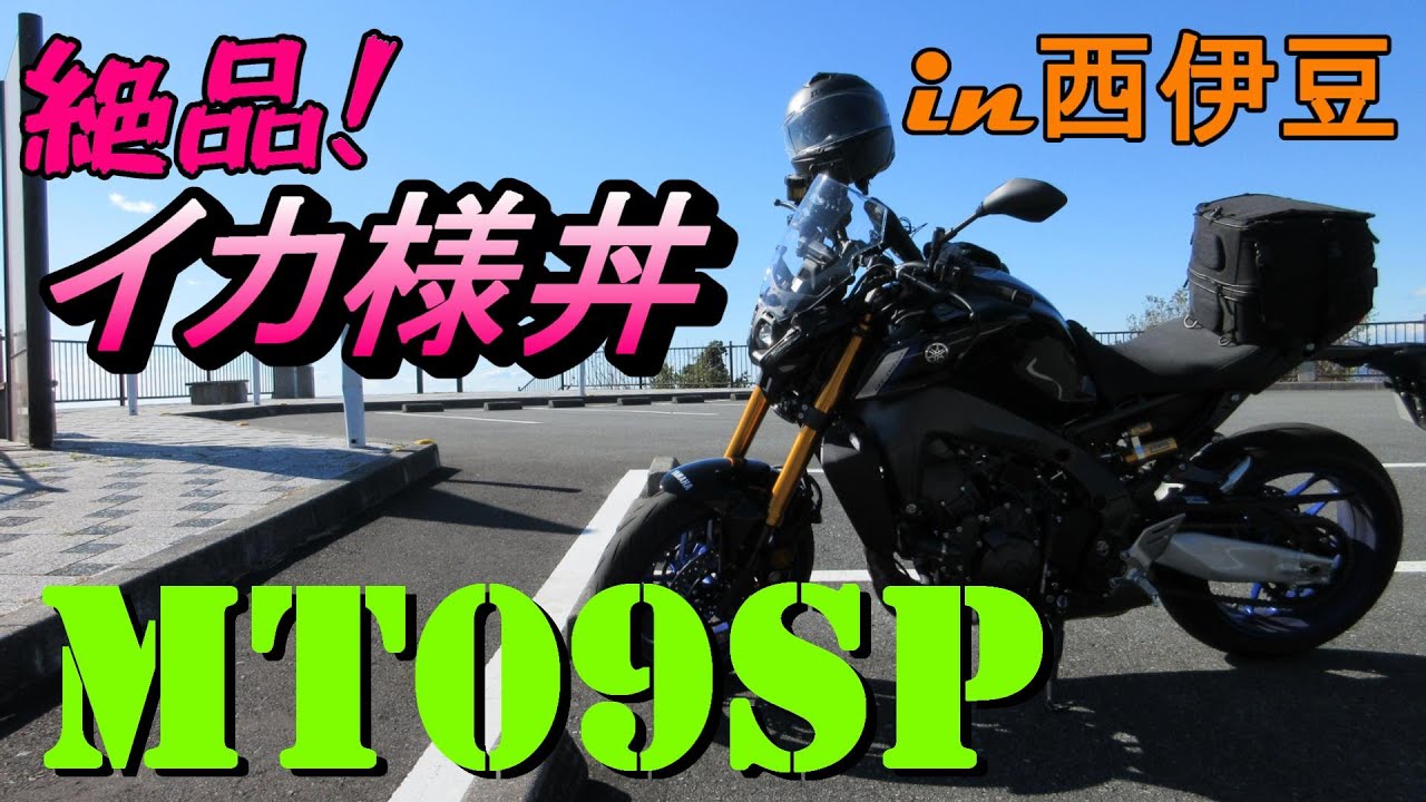 【MT09SP】イカ食べ行こう　絶品イカ丼＆絶景西伊豆の海と高原『オッサンおススメ海鮮シリーズ』第一弾