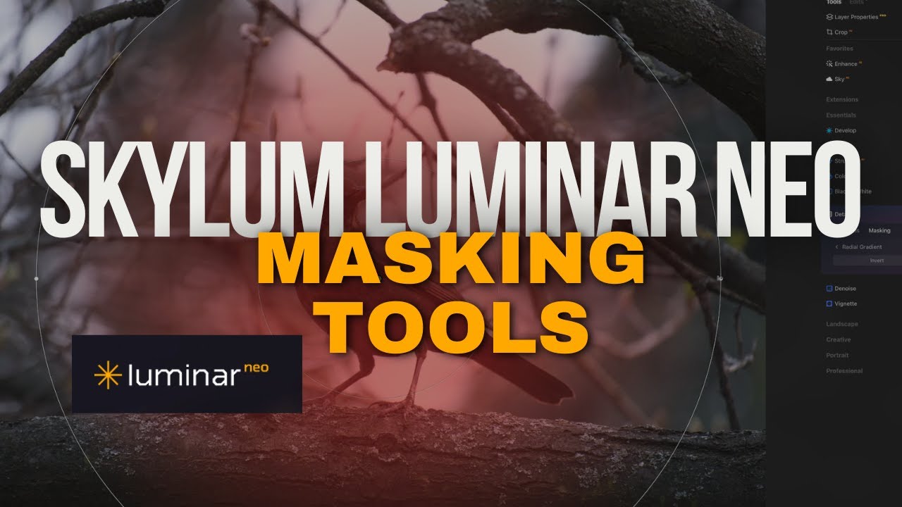 Как использовать инструменты маскирования в Skylum Luminar Neo