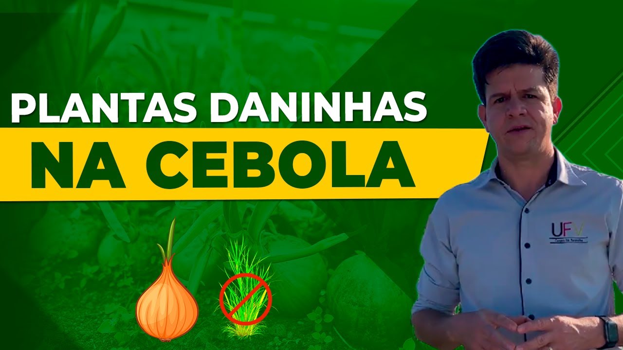 Plantas Daninhas na Cultura da Cebola: Identificação e Manejo Eficiente