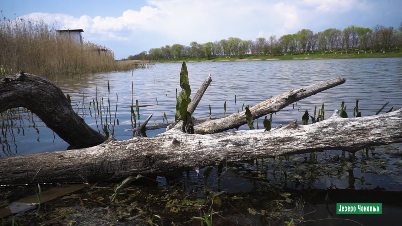 Reke i jezera - Jezero Čonoplja