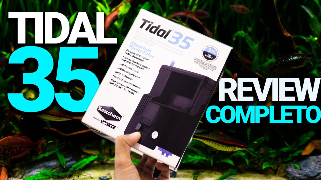 Tidal 35 | REVIEW COMPLETO tras varios meses de uso ¿Realmente vale la pena?