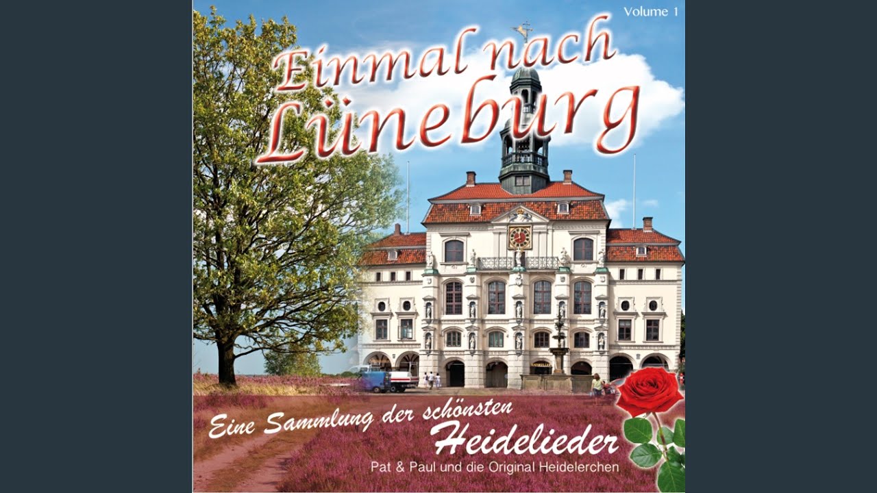 Mit der Kutsche durch die Heide
